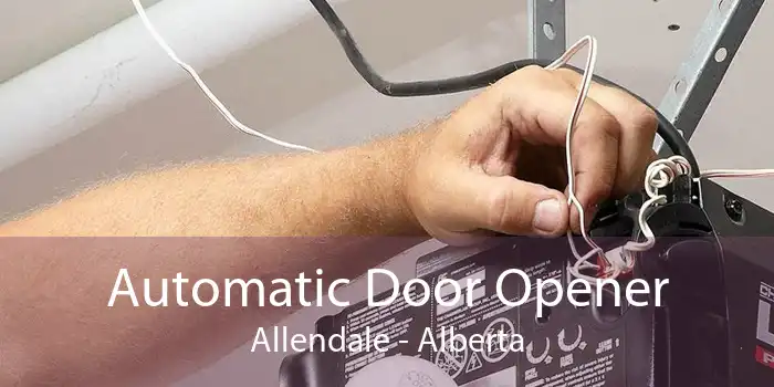 Automatic Door Opener Allendale - Alberta