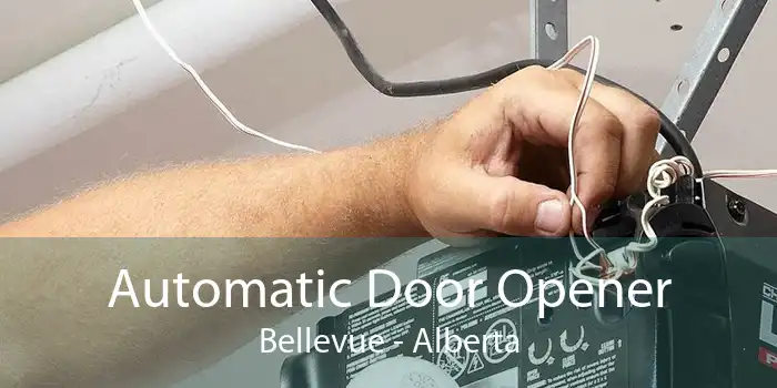 Automatic Door Opener Bellevue - Alberta