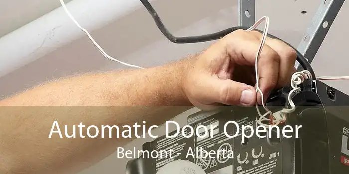 Automatic Door Opener Belmont - Alberta