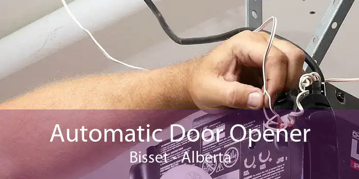 Automatic Door Opener Bisset - Alberta