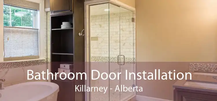 Bathroom Door Installation Killarney - Alberta