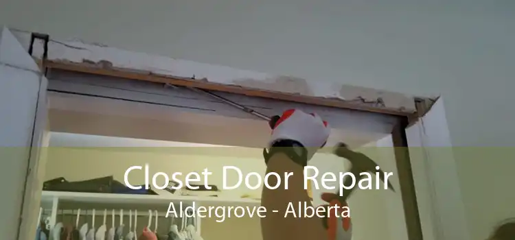 Closet Door Repair Aldergrove - Alberta