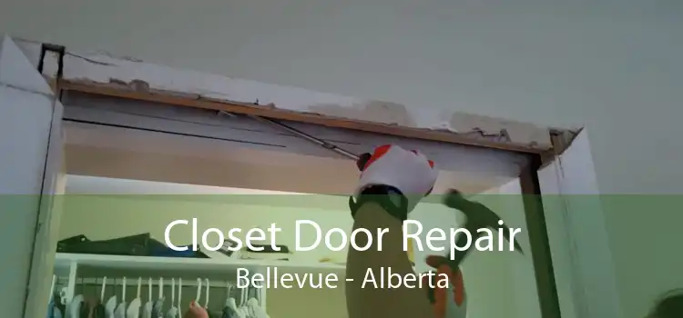 Closet Door Repair Bellevue - Alberta