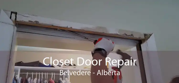 Closet Door Repair Belvedere - Alberta