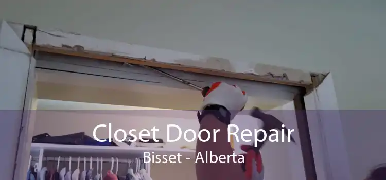 Closet Door Repair Bisset - Alberta