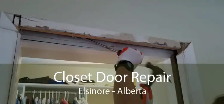 Closet Door Repair Elsinore - Alberta