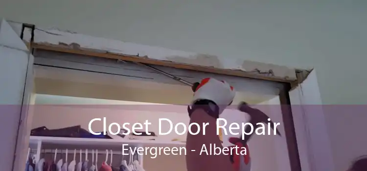 Closet Door Repair Evergreen - Alberta