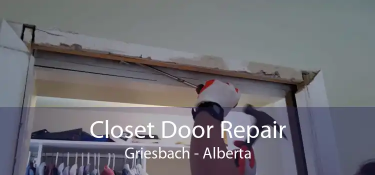 Closet Door Repair Griesbach - Alberta