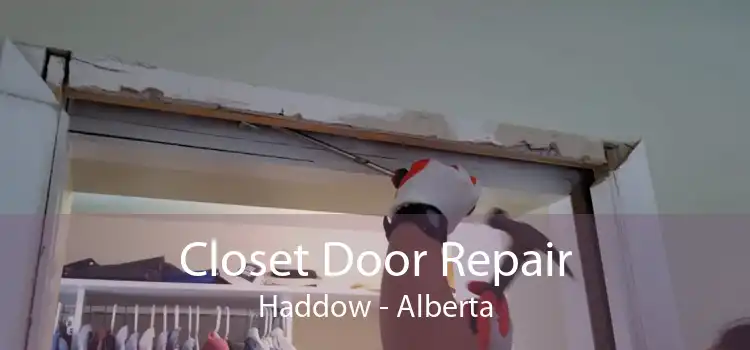 Closet Door Repair Haddow - Alberta