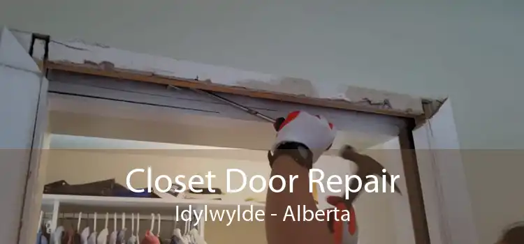 Closet Door Repair Idylwylde - Alberta