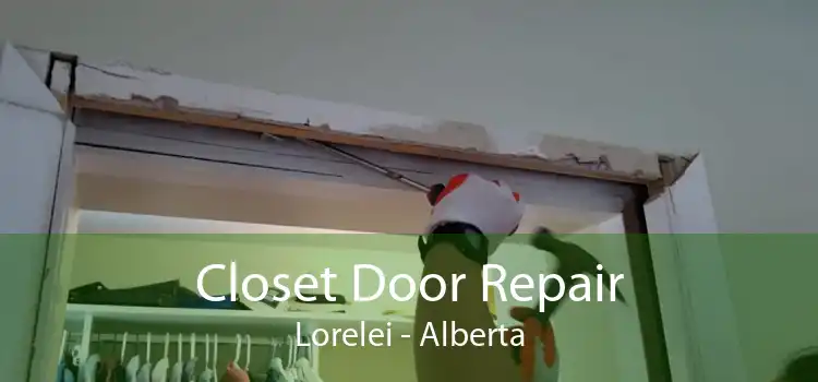 Closet Door Repair Lorelei - Alberta