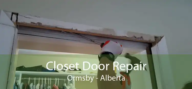 Closet Door Repair Ormsby - Alberta