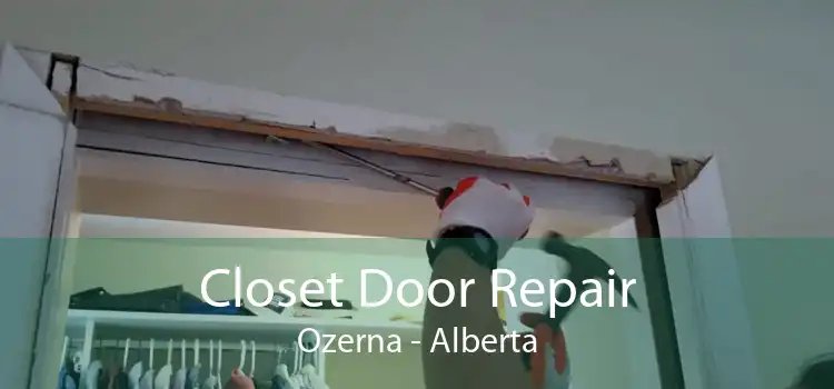 Closet Door Repair Ozerna - Alberta