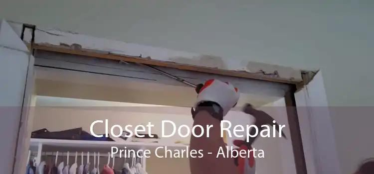 Closet Door Repair Prince Charles - Alberta