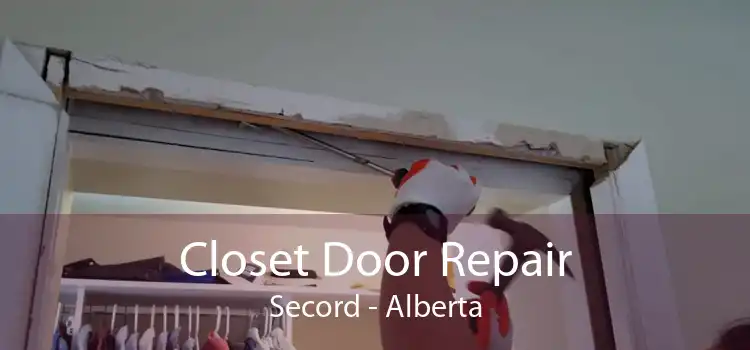 Closet Door Repair Secord - Alberta