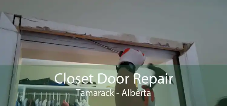 Closet Door Repair Tamarack - Alberta