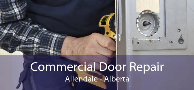 Commercial Door Repair Allendale - Alberta