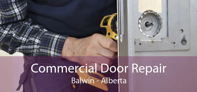 Commercial Door Repair Balwin - Alberta