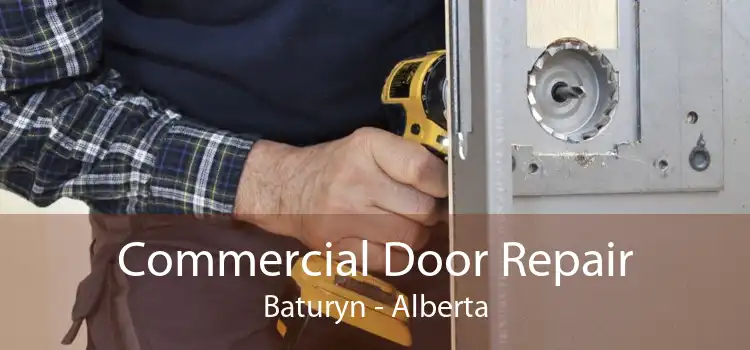 Commercial Door Repair Baturyn - Alberta