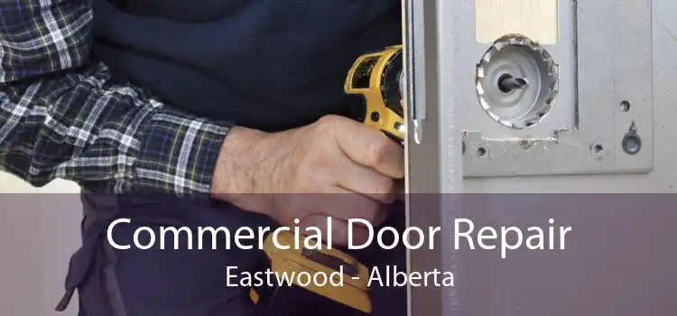 Commercial Door Repair Eastwood - Alberta