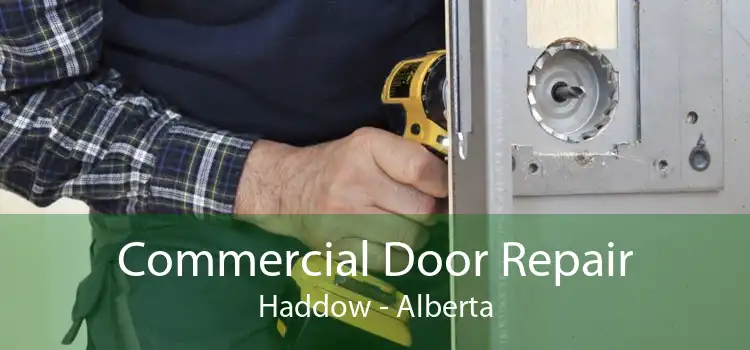 Commercial Door Repair Haddow - Alberta