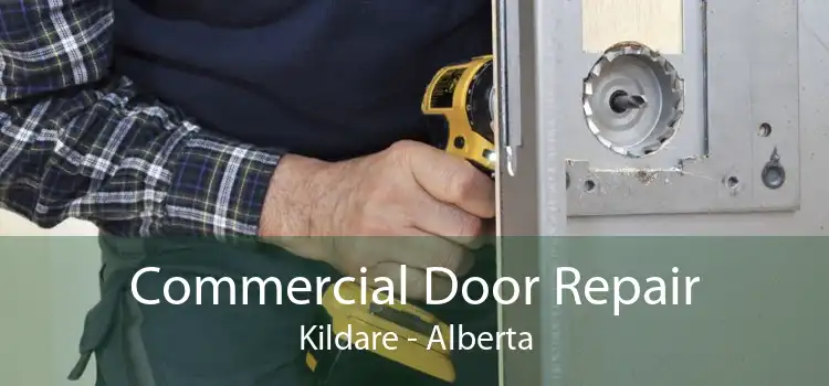 Commercial Door Repair Kildare - Alberta