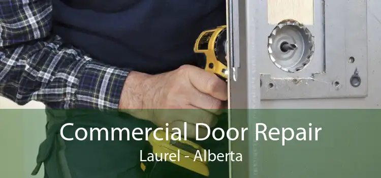 Commercial Door Repair Laurel - Alberta