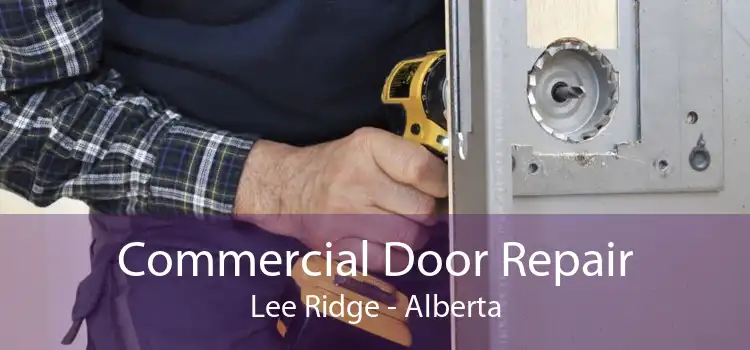 Commercial Door Repair Lee Ridge - Alberta