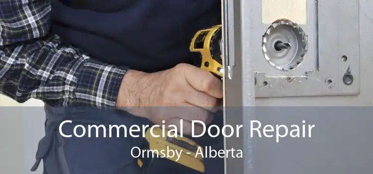 Commercial Door Repair Ormsby - Alberta