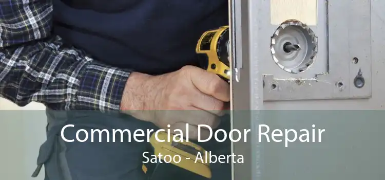 Commercial Door Repair Satoo - Alberta