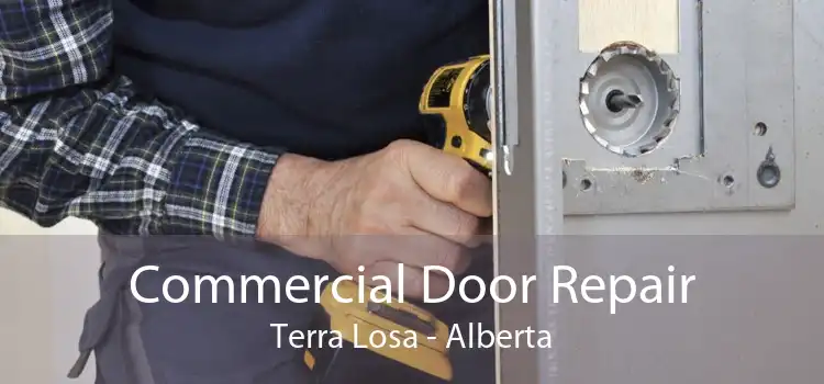 Commercial Door Repair Terra Losa - Alberta