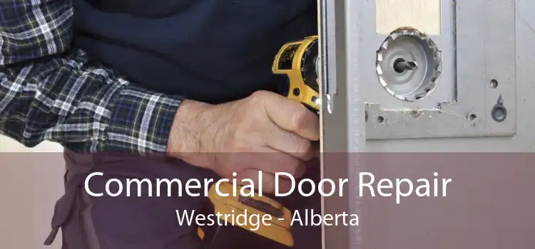 Commercial Door Repair Westridge - Alberta