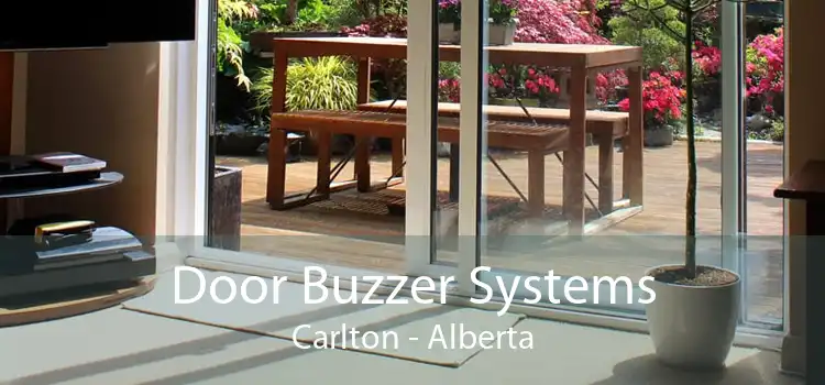 Door Buzzer Systems Carlton - Alberta