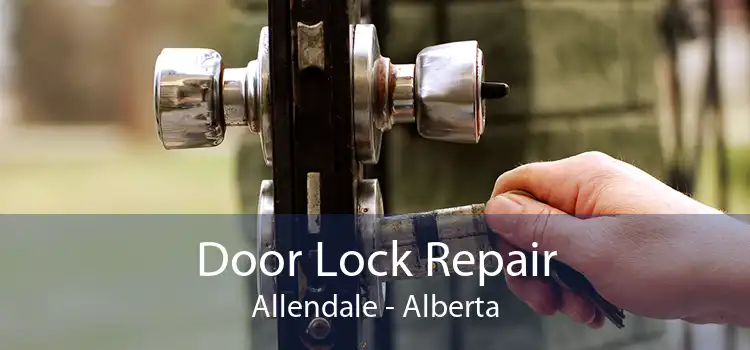 Door Lock Repair Allendale - Alberta