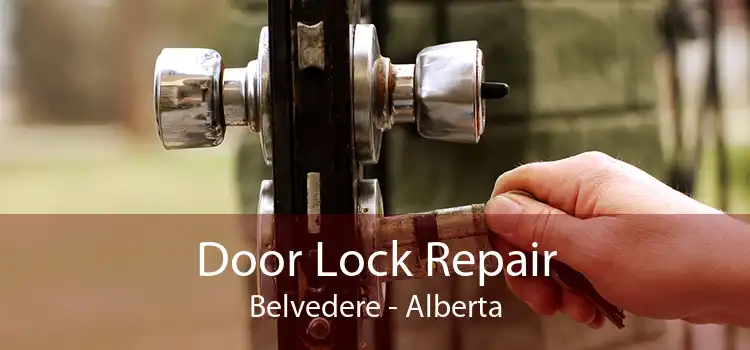 Door Lock Repair Belvedere - Alberta