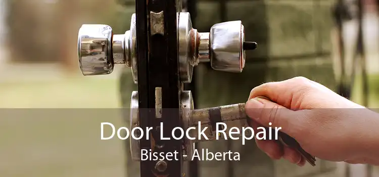 Door Lock Repair Bisset - Alberta