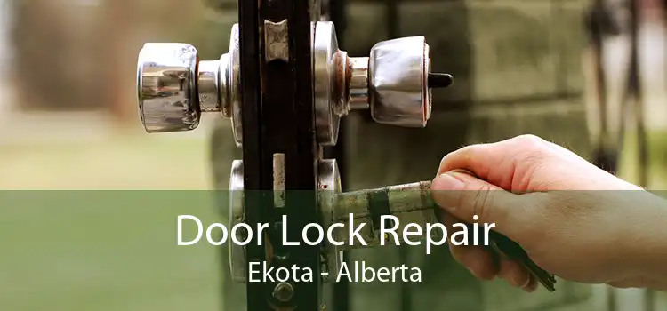 Door Lock Repair Ekota - Alberta