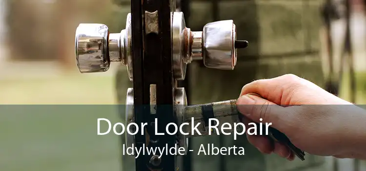 Door Lock Repair Idylwylde - Alberta