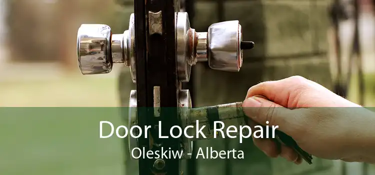 Door Lock Repair Oleskiw - Alberta