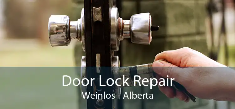 Door Lock Repair Weinlos - Alberta