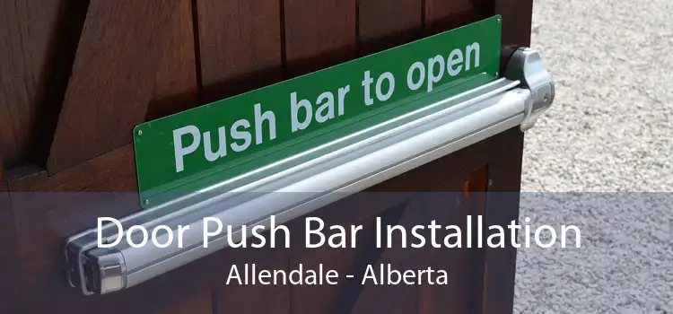 Door Push Bar Installation Allendale - Alberta