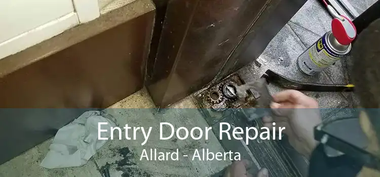 Entry Door Repair Allard - Alberta