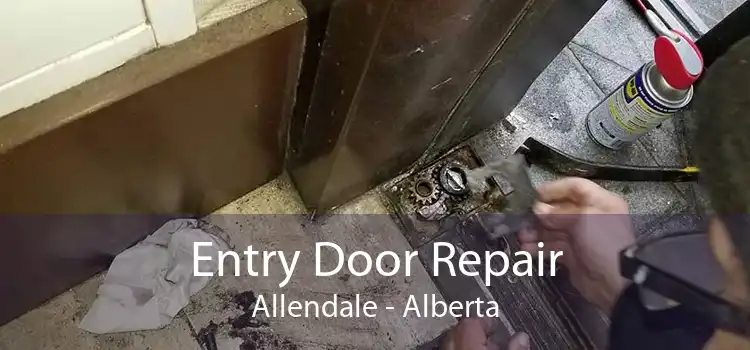 Entry Door Repair Allendale - Alberta