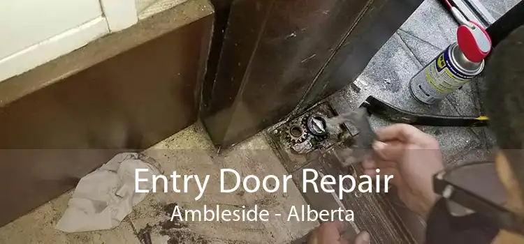 Entry Door Repair Ambleside - Alberta