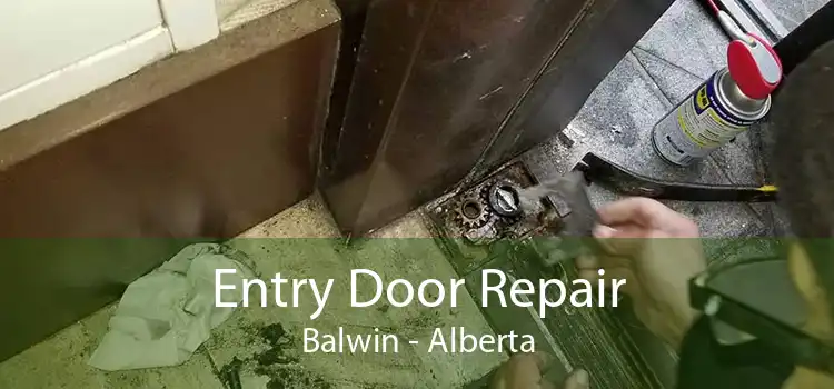 Entry Door Repair Balwin - Alberta