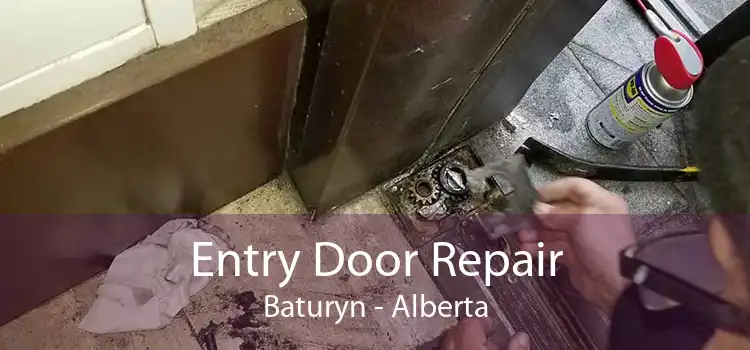 Entry Door Repair Baturyn - Alberta