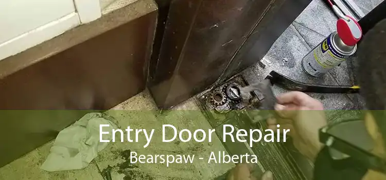 Entry Door Repair Bearspaw - Alberta