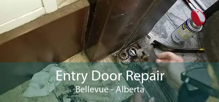 Entry Door Repair Bellevue - Alberta