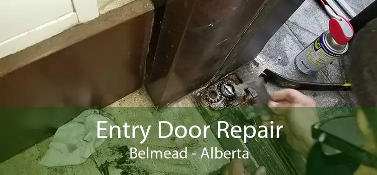 Entry Door Repair Belmead - Alberta