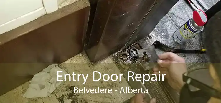 Entry Door Repair Belvedere - Alberta